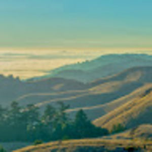 Meet your Posher, Jeff